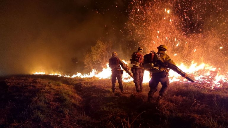 Feux de forêt : Flandre, Pays-Bas et Allemagne vont renforcer leur coopération pour lutter contre les incendies