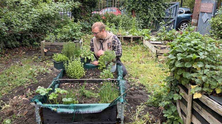 Les jardins partagés, un petit air de campagne à Charleroi