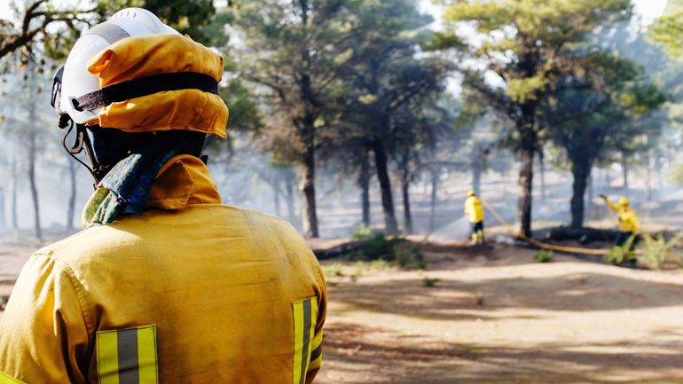Feux de forêt en Catalogne : l'incendie sur la Costa Brava stabilisé, les pompiers s'attendent à une journée "compliquée"