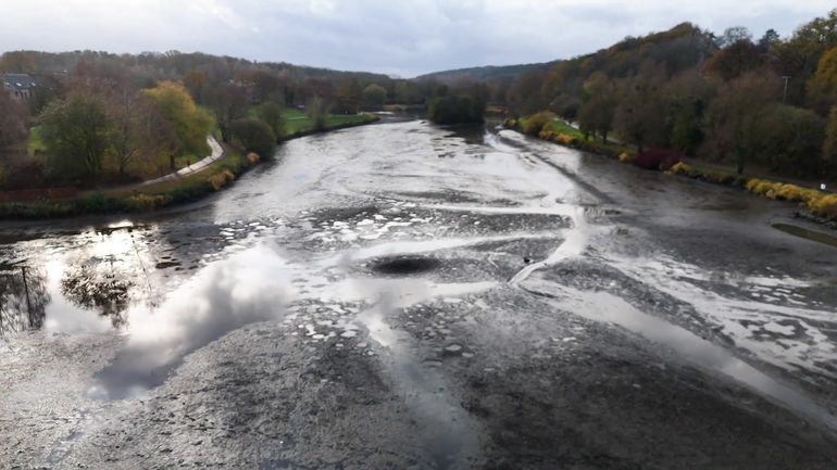 Louvain-la-Neuve : le lac mis à sec pour régénérer son écosystème