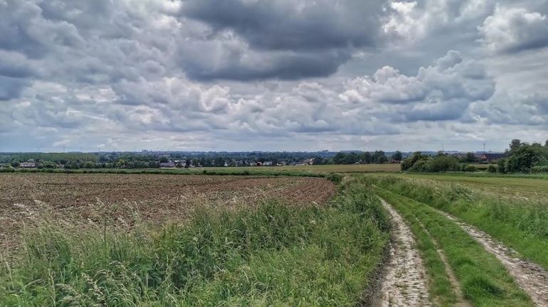 Les 22 marches Adeps du dimanche 29 mars en Wallonie