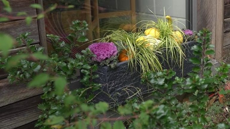 L’automne s’invite sur votre terrasse sous forme d'une jardinière lumineuse L’automne s’invite sur votre terrasse sous forme d'une jardinière lumineuse