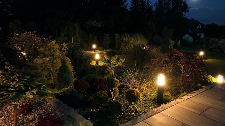 Pollution lumineuse : quels impacts sur la nature et notre santé ?