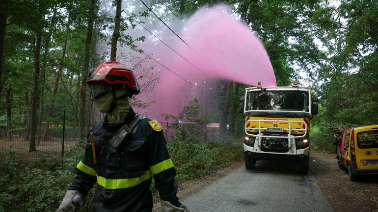 Incendies en forêt de Fontainebleau : le combat continue contre les reprises de feux, Macron se rendra sur place ce jeudi