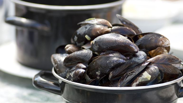 Les premières moules de Zélande de la saison sont précoces et charnues