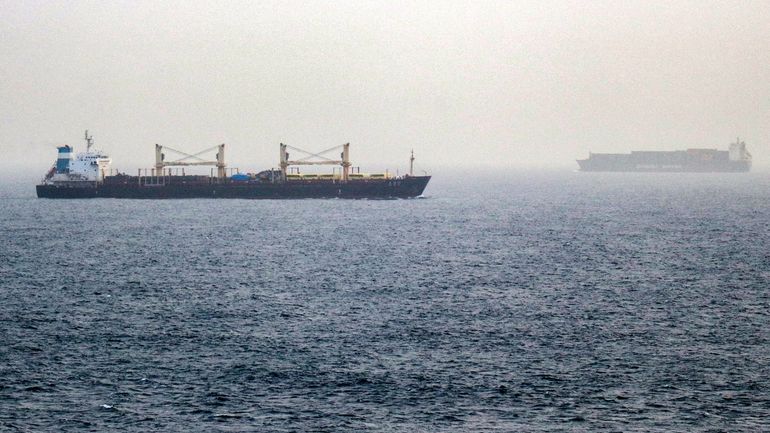 Les Houthis prennent le contrôle du détroit de Bab el-Mandeb, l'autre verrou maritime stratégique avec Ormuz