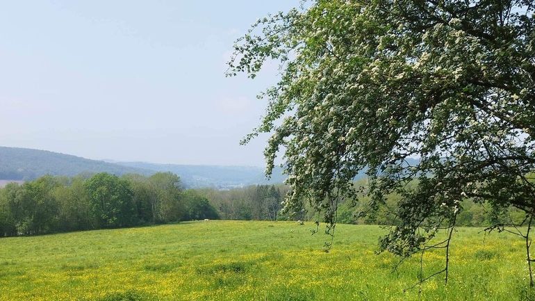 Les 16 marches Adeps du dimanche 9 août en Wallonie