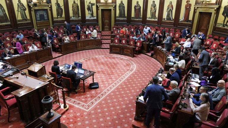 La suppression du Sénat est lancée malgré l'abstention du MR...qui y est pourtant favorable: voici pourquoi