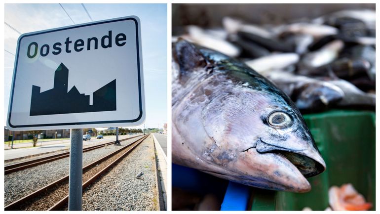 Côte belge : l'annulation du permis d'environnement d'une ferme d'élevage de saumons à Ostende confirmée