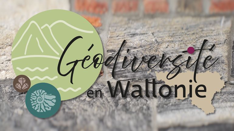 Géodiversité : ce que les roches, les sols et les paysages racontent de la Wallonie