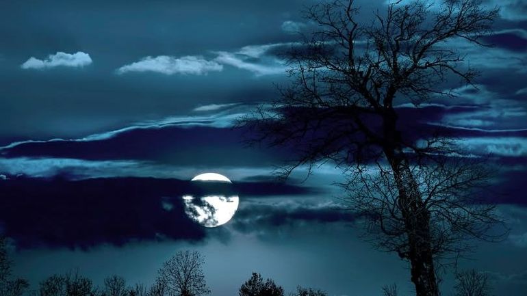 Météo en Belgique : un temps de Toussaint pour ce 01 novembre Météo en Belgique : un temps de Toussaint pour ce 01 novembre