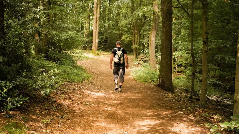 Les 25 marches Adeps du dimanche 14 juin en Wallonie