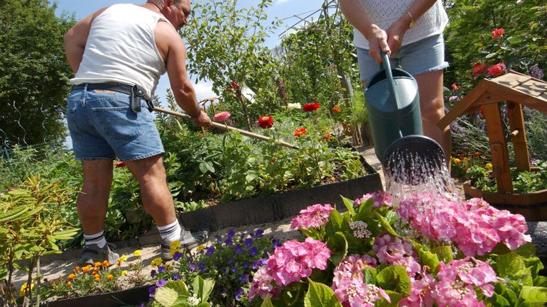 Des anciennes traverses de chemins de fer au jardin ou au potager : attention à ce produit potentiellement cancérigène
