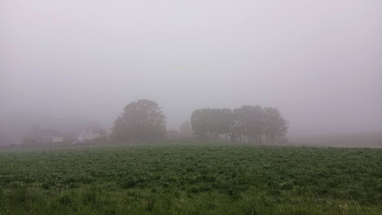 La météo en Belgique : un temps encore bien maussade ce mardi