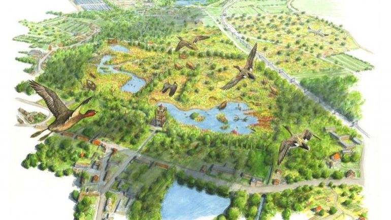 La Fondation Pairi Daiza veut remodeler les bassins de l'ancienne sucrerie de Brugelette