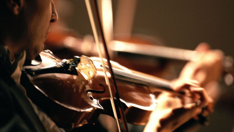 Le bois de Pernambouc ne sera pas interdit : la demande des musiciens a été entendue