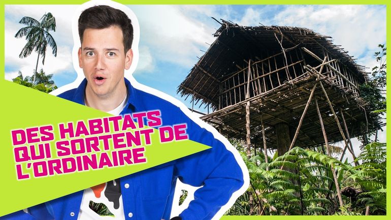 Parlons solutions : des maisons bien différentes à travers le monde