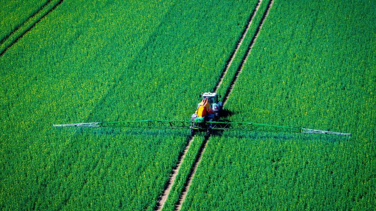 "Un retour de 30 ans en arrière" : associations et scientifiques s’inquiètent d’un projet de la Commission européenne sur les pesticides "Un retour de 30 ans en arrière" : associations et scientifiques s’inquiètent d’un projet de la Commission européenne sur les pesticides