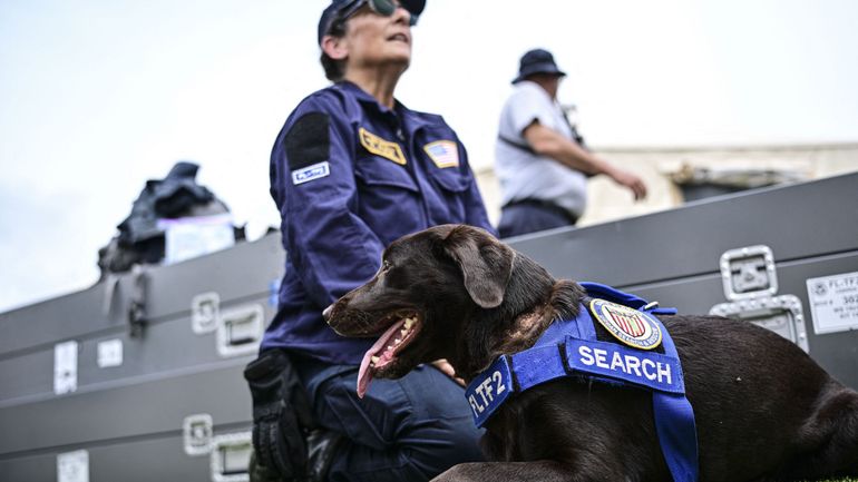 Au Venezuela, des chiens sauveteurs se sont relayés pour retrouver d'éventuels survivants dans les ruines du séisme