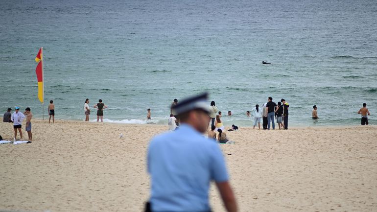 Fusillade sur la plage de Bondi à Sydney : début des audiences publiques de la commission d'enquête