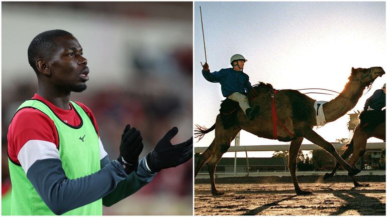 Paul Pogba se diversifie : le Français devient ambassadeur d’une équipe de courses de chameaux Paul Pogba se diversifie : le Français devient ambassadeur d’une équipe de courses de chameaux