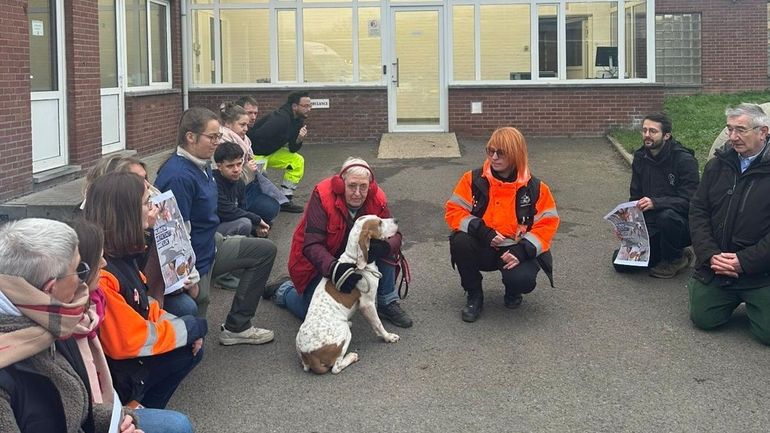 Liège : 150 personnes contestent l’autorisation de restituer Ruben, un chien maltraité, à son propriétaire