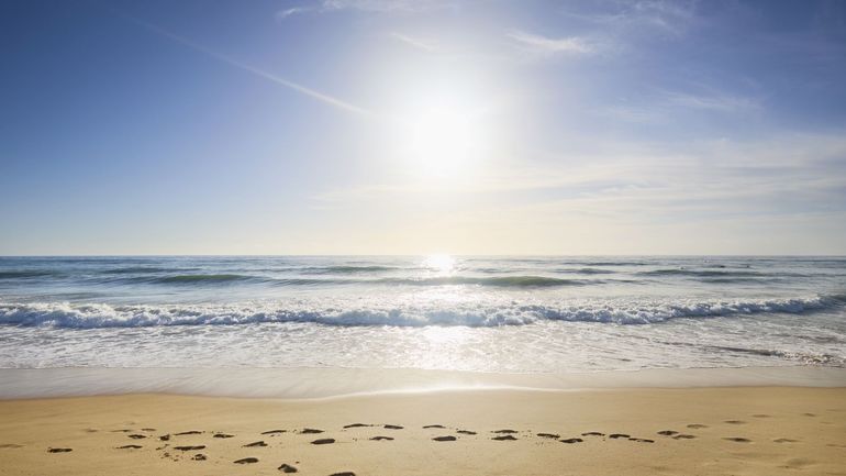 Jamais les mers n'avaient été aussi chaudes : un record de température battu ce 22 août