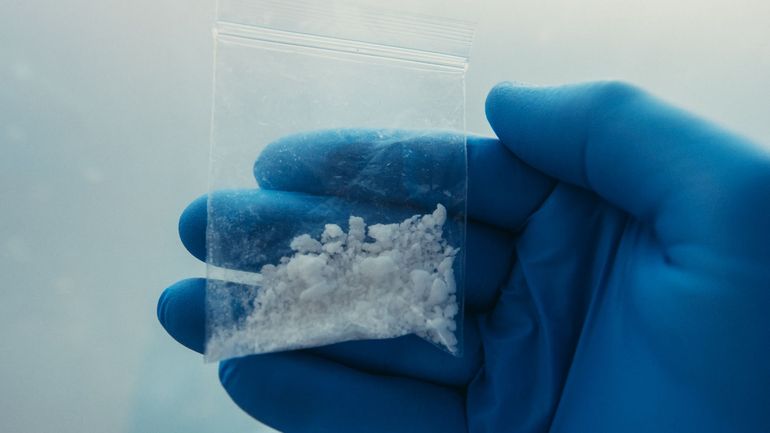 Près de 50 arrestations de trafiquants de drogue actifs depuis la Belgique et les Pays-Bas