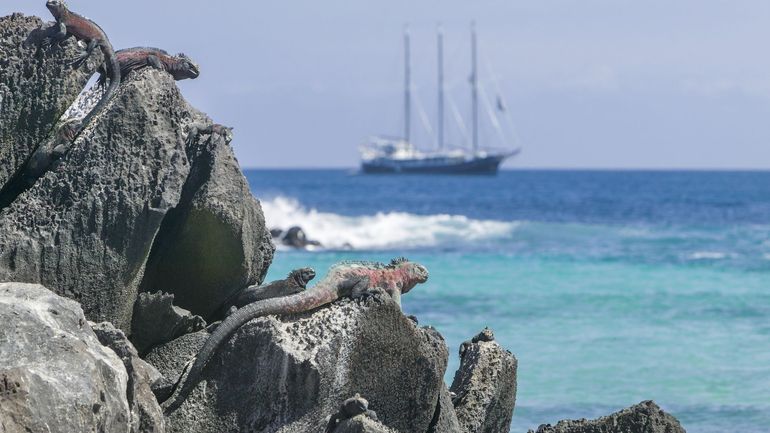 Océan Pacifique : les Etats-Unis et l’Equateur renoncent à créer une base militaire aux Galapagos, affirme le président équatorien Océan Pacifique : les Etats-Unis et l’Equateur renoncent à créer une base militaire aux Galapagos, affirme le président équatorien