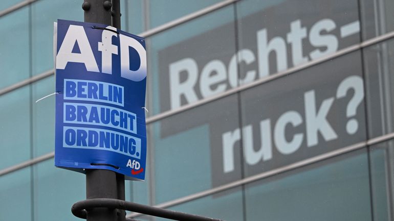 "Waouh, le parti populiste allemand a connu une très grande soirée" : Donald Trump félicite l'AfD pour sa victoire en Saxe-Anhalt
