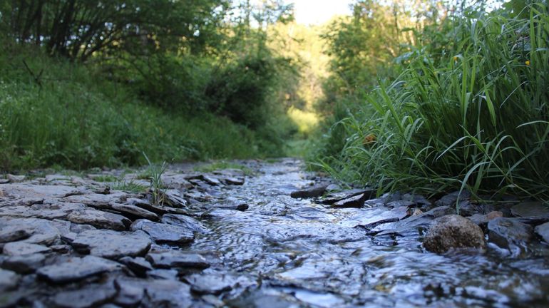 Les 26 marches Adeps du dimanche 7 juin en Wallonie