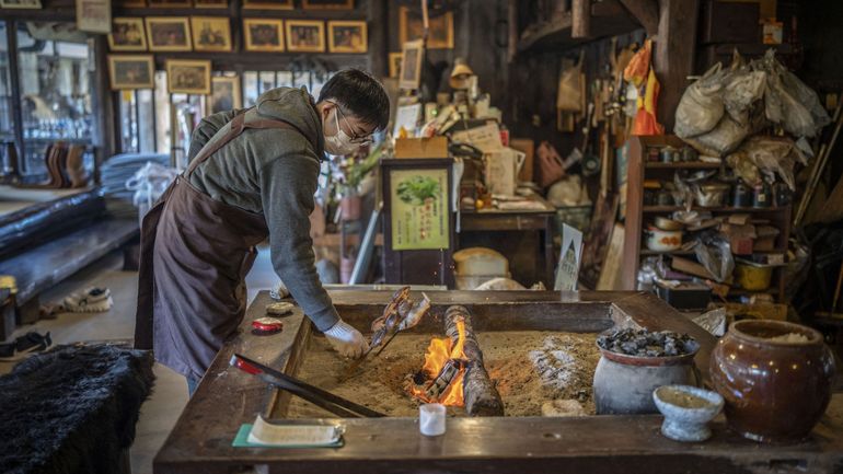 Japon : après les attaques d'ours, leur viande s'invite dans des restaurants