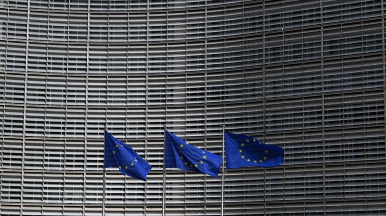 Vu d'Europe : le réseau social X est le principal canal de désinformation contre l'UE, et les politiques en sont les principales cibles
