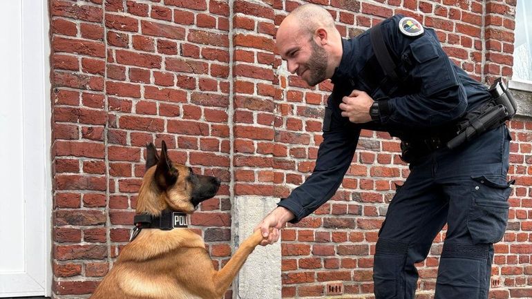 Tournai : un chien policer issu de la SPA de Mouscron