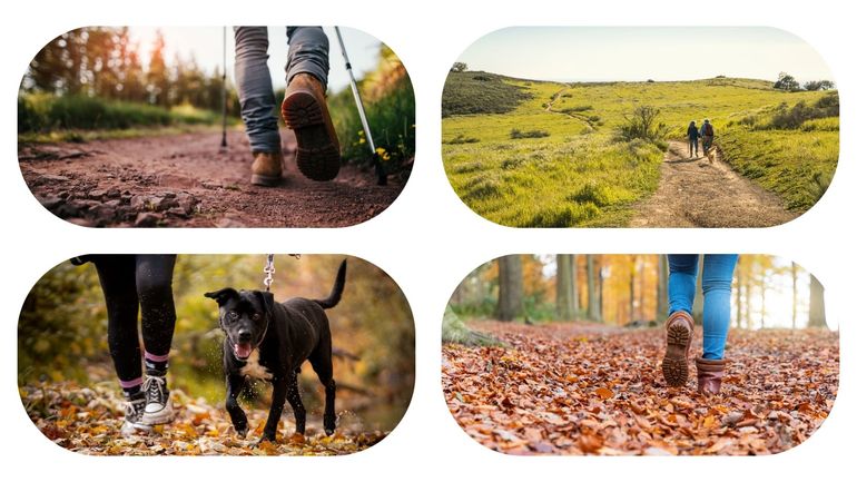 Les 9 marches Adeps du dimanche 4 janvier en Wallonie