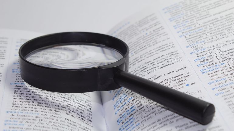 "Crush", "neuroatypique", "prompter" : les nouveaux mots du Larousse 2027 qui racontent notre époque