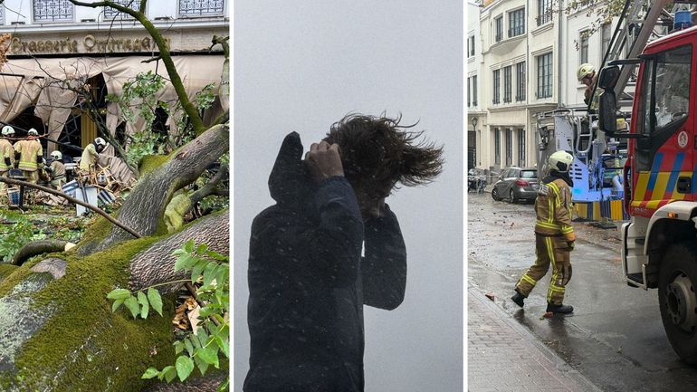 De premiers dégâts et des perturbations dans les transports : la tempête Austen frappe la Belgique