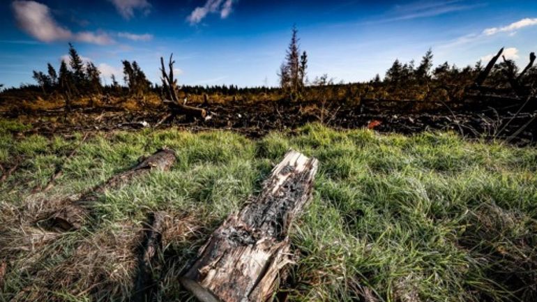 Incendie dans les Fagnes : de nouveaux secteurs des Hautes Fagnes accessibles lundi