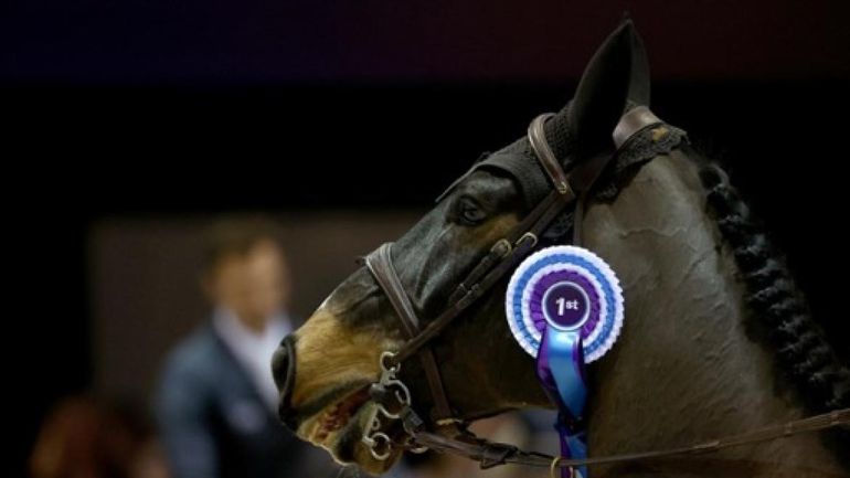 Jumping de Liège : Andres Vereecke remporte le Grand Prix à Liège Jumping de Liège : Andres Vereecke remporte le Grand Prix à Liège