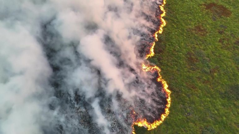 Des cartes précises prédisaient les risques, aurait-on pu éviter l'incendie dans les Hautes Fagnes ?