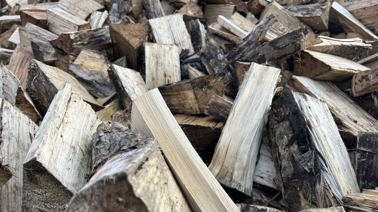 "Du bois de chauffage à 50 euros le stère ? Impossible !" : explications et conseils de prudence, les escrocs font également feu de tout bois