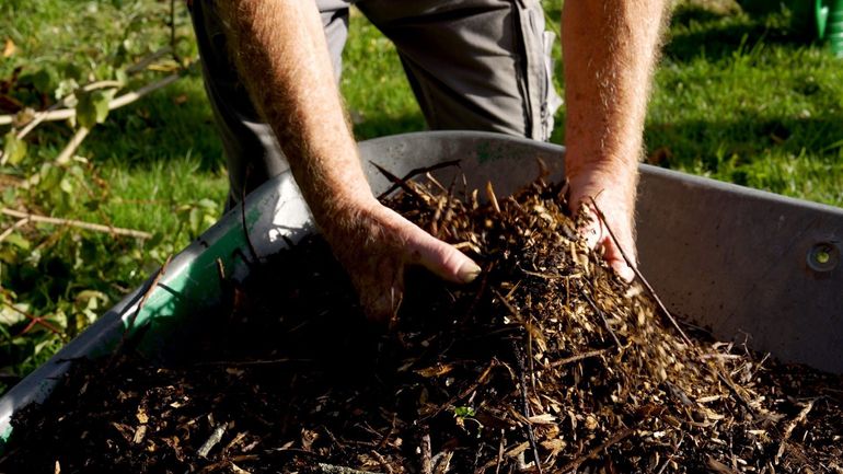 Comment bien réussir son compost : les règles essentielles à connaître