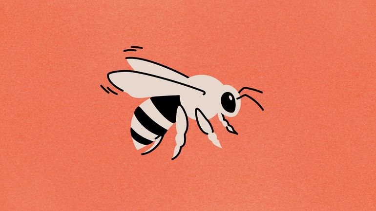 KESKIDI ? : pourquoi dit-on "Faire le buzz ?" KESKIDI ? : pourquoi dit-on "Faire le buzz ?"