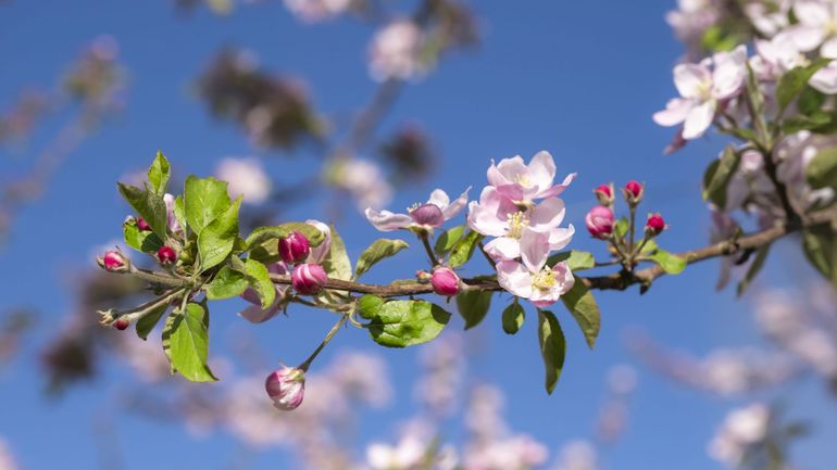 Le troisième printemps le plus chaud depuis le début des relevés