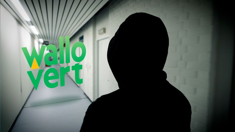 Wallovert : arnaque à grande échelle et menace de mort