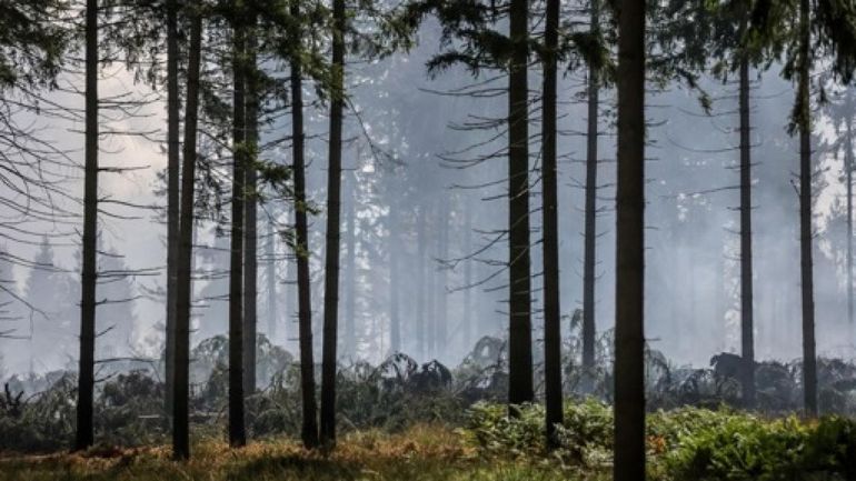 Incendie dans les Hautes Fagnes - Une route de ballast circulaire permet désormais de faire le tour de l'incendie