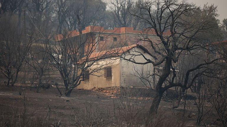 Algérie : deuil national de trois jours après le lourd bilan des incendies