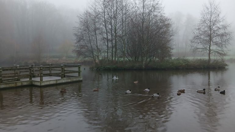 La météo en Belgique : un peu plus de soleil sur certaines régions La météo en Belgique : un peu plus de soleil sur certaines régions