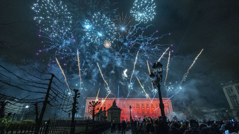 De nombreuses associations réclament davantage de restrictions quant à l'usage de feux d'artifice