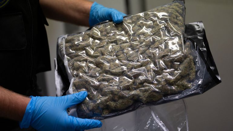 500 kilos de cannabis saisis en provenance du Canada, quatre personnes sous mandat d'arrêt